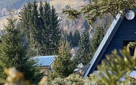 Kleines Chalet Im Erzgebirge Mit Sauna Und Kamin